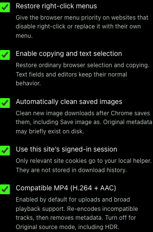 The actual settings screen with compatible MP4, right-click, selection, automatic image cleanup and site-session preferences.